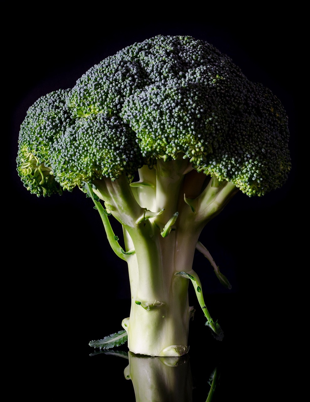 broccoli-952532_1280 Rosenkohl
