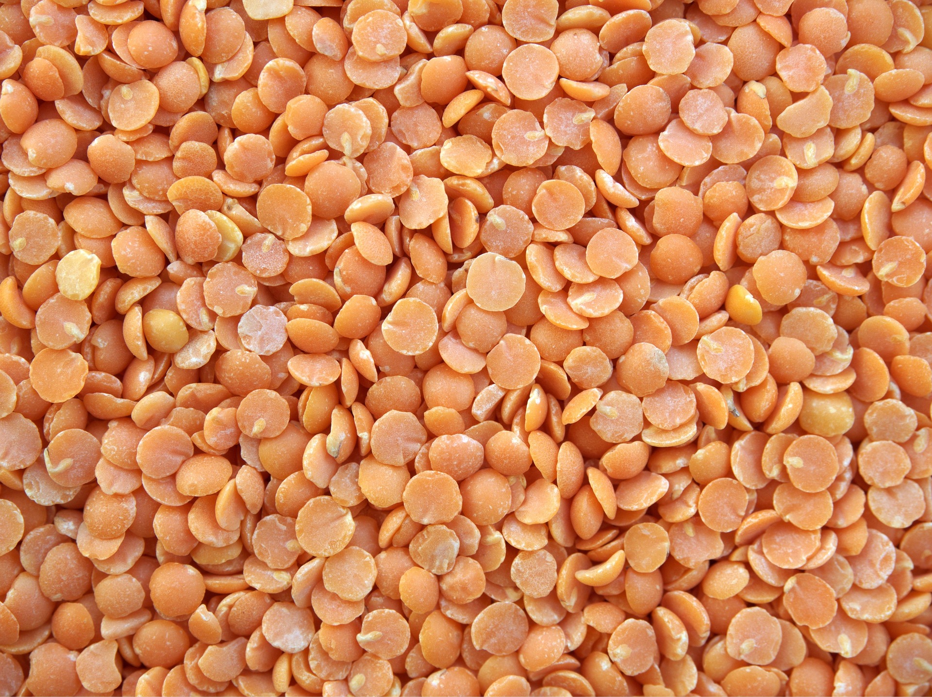 lentils-628468_1920 Rosenkohl
