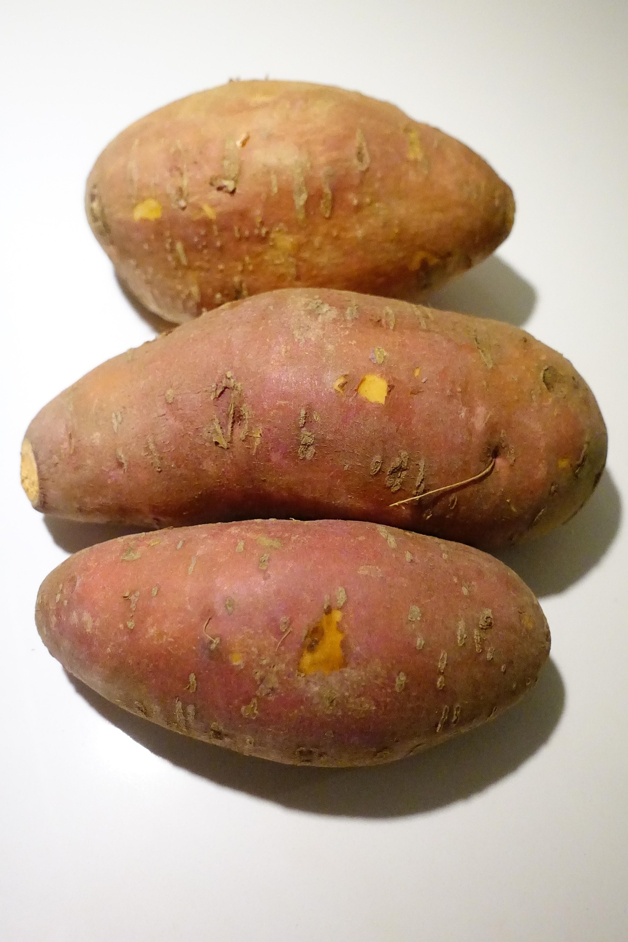sweet-potato-2895514_1920 Rosenkohl
